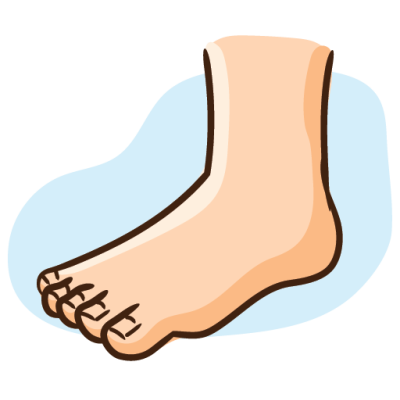 Basic English Vocabulary Human Body Pictionary foot
