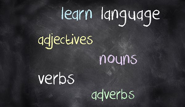 Grammar and Syntax of the English Language