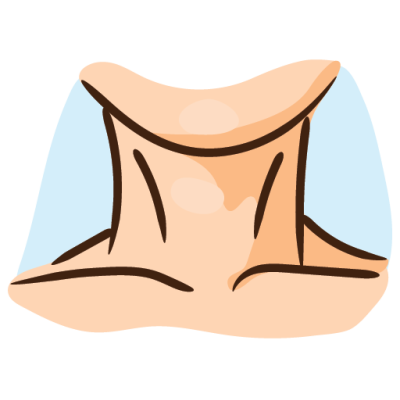 Basic English Vocabulary Human Body Pictionary neck