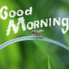 images/Games/Vocabulary_Game_Good_Morning_Ann_Language_Avenue.jpg