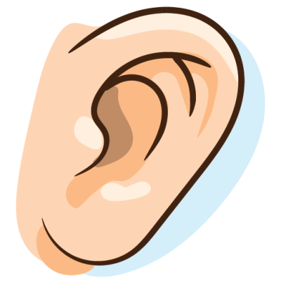 Basic English Vocabulary Human Body Pictionary ear
