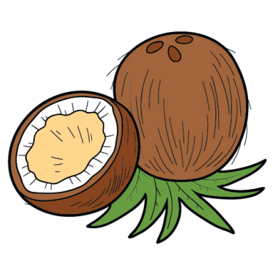 Intermediate English Vocabulary Fruit Pictionary Coconut